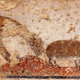 Illustration for article titled Ancient Egyptian Art Contains The Records of Past Extinctions